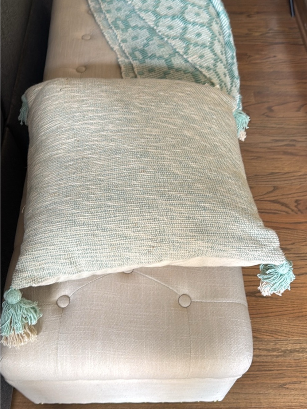 Soft Mint Accent Pillow with Tassels - Home Accents